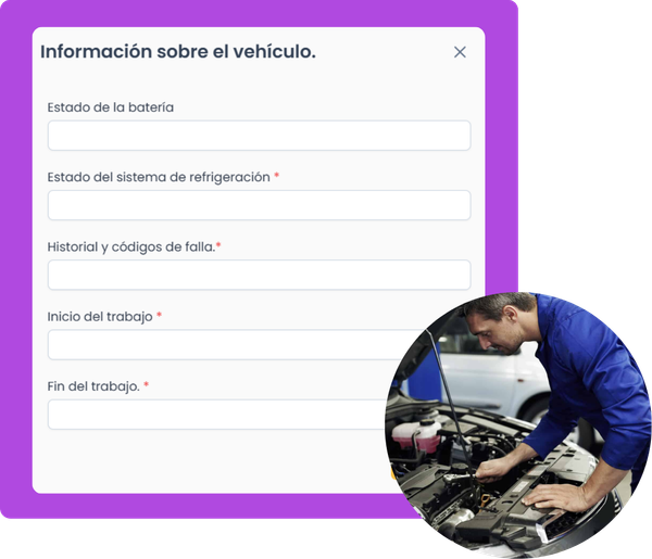 Software vehículos